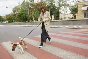 Beautiful lady in sunglasses, happily walking on a city street, crossing the crosswalk with her little cute dog of breed Jack Russell Terrier on a leash, smiling and looking happy, talking on phone photo