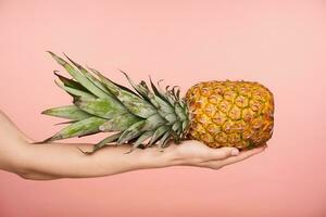 lado ver de bonito mujer mano con desnudo manicura acuerdo grande Fresco piña mientras siendo aislado terminado rosado antecedentes. humano manos y comida fotografia foto