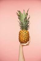 Indoor shot of pretty female's hand with nude manicure raising up fresh pineapple, going to make juice from it, isolated over pink background photo