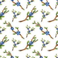 Watercolor illustration pattern doodle blueberry twig with berries. Agriculture, eco friendly, organic farm. For the design of design compositions on the theme of tourism, hiking, outdoor recreation. png