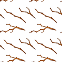 vattenfärg illustration av en mönster av torr grenar utan löv. bar hakar, torr grenar. lantbruk, eco vänlig, organisk odla. för de design av design kompositioner på de tema av turism, png