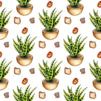 Watercolor illustration pattern motley grass in a pot and stones. It's perfect for postcards, posters, banners, invitations, greeting cards, prints. Isolated. drawn by hand. png