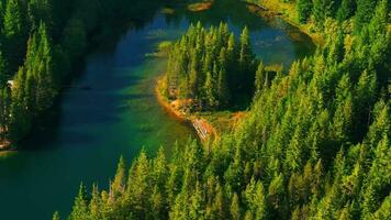 aéreo Visão do Lucille lago dentro montanhas, perto assobiador, Canadá video