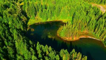 Aerial view of Lucille Lake in mountains, near Whistler, Canada video