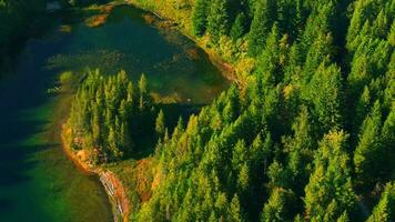 aérien vue de lucille Lac dans montagnes, près siffleur, Canada video