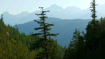 antenne visie van Canadees berg landschap. genomen in de buurt Vancouver video