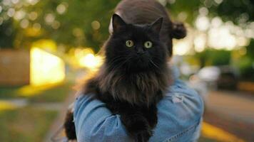 Beautiful woman holding and hugging her black cat outdoor. video