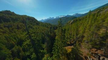 maniable vol plus de Montagne paysage par fpv drone. video