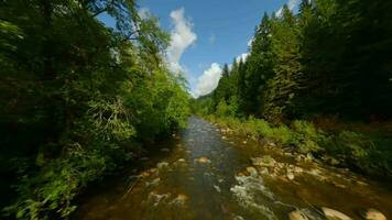 Flug Über ein Berg Fluss. Schuss auf fpv Drohne. britisch Columbia, Kanada. video