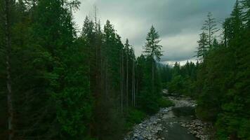 Flight over a mountain river. Shot on FPV drone. British Columbia, Canada. video