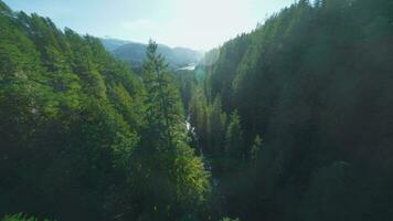 Unusual aerial view of Brandywine Falls filmed on FPV drone. video