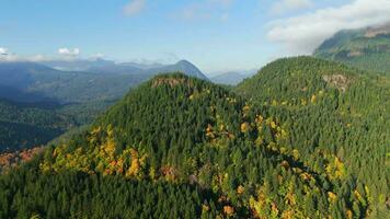 Aerial view of colourful forest on mountain slopes and cloudy sky. Canada video