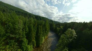 wendig Flug Über Berg Steigung bedeckt mit Wald durch fpv Drohne video