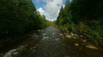 vol plus de une Montagne rivière. coup sur fpv drone. Britanique Colombie, Canada. video