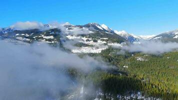 Aerial view of green trees with fog on the mountain slopes. video