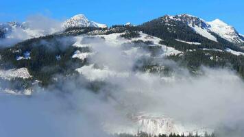 aereo Visualizza di verde alberi con nebbia su il montagna piste. video