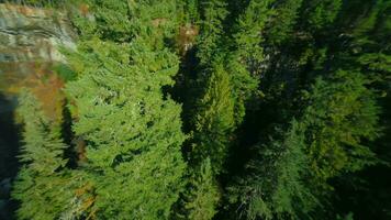 Unusual aerial view of Brandywine Falls filmed on FPV drone. video