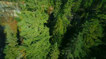 Unusual aerial view of Brandywine Falls filmed on FPV drone. video