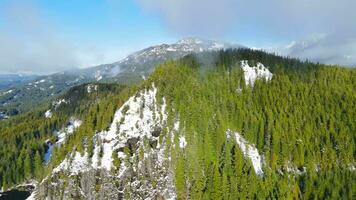 Antenne Aussicht von Grün Bäume mit Nebel auf das Berg Pisten. video
