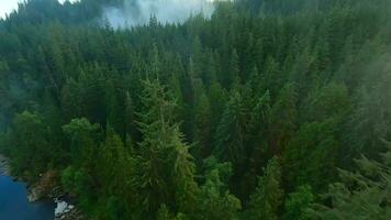 voar sobre uma montanha rio. tiro em fpv drone. britânico Colômbia, Canadá. video