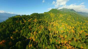 fpv antenn se av färgrik skog på berg backar. harrison sjö, kanada video