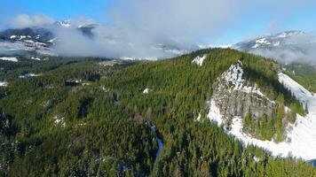 Antenne Aussicht von Grün Bäume mit Nebel auf das Berg Pisten. video