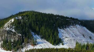 Antenne Aussicht von Grün Bäume auf das Berg Pisten. video