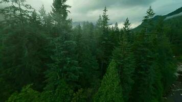 Flight over a mountain river. Shot on FPV drone. British Columbia, Canada. video