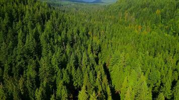 Aerial view of Canadian mountain landscape in cloudy day. Taken near Vancouver video