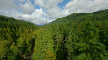 Flight by FPV drone over a mountain landscape and river. Canada. video