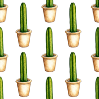 Watercolor illustration pattern of homemade flower cacti in a pot. It's perfect for postcards, posters, banners, invitations, greeting cards, prints. Isolated . Drawn by hand. png