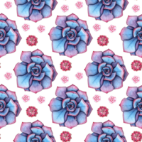 Watercolor illustration of a pattern of blue and pink succulents. It's perfect for postcards, posters, banners, invitations, greeting cards, prints. Isolated . Drawn by hand. png