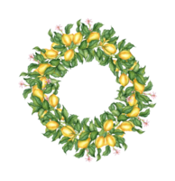 Watercolor illustration of a lush wreath frame of ripe, yellow, juicy lemons, flowers and buds. Tropical wreath isolated. Delicious food for design, print, fabric, background, png