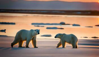 ai generado dos polar osos caminando en el playa a puesta de sol foto