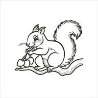 Coloring book vector cute squirrel