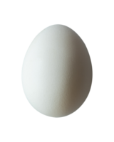 blanco huevo aislado diseño elemento png