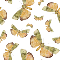 Seamless pattern with green yellow moth or butterfly. Hand draw watercolor Insect illustration. Endless background for wallpaper, fabric, wrapping paper. png