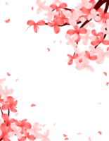 rosado flores sakura marco borde. Cereza floración primavera árbol antecedentes. png