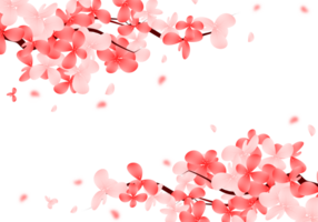 Sakura Frame Flowers Cartoon. Spring Tree Cherry Blossom Border png