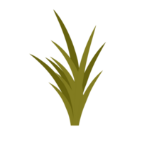 vert herbes pour décorations png