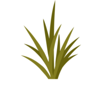 Green Grasses For Decorations png