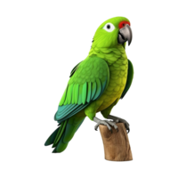 AI generated Macaw parrot on a branch isolated on transparent background png