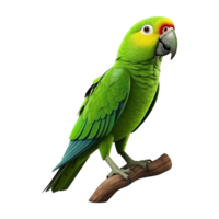 AI generated Macaw parrot on a branch isolated on transparent background png