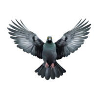 ai généré en volant Pigeon isolé sur transparent Contexte png