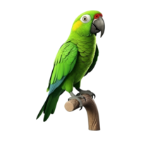 AI generated Macaw parrot on a branch isolated on transparent background png