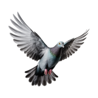 ai généré en volant Pigeon isolé sur transparent Contexte png