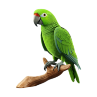 AI generated Macaw parrot on a branch isolated on transparent background png