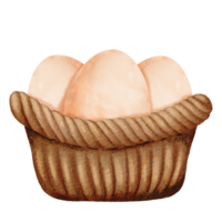 waterverf artwork beeltenis een bruin rieten mand gevulde met vers eieren. een gemakkelijk en rustiek samenstelling, voor overbrengen de charme van kakelvers produceren. voor divers ontwerpen, Pasen-thema projecten png