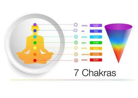 el Siete chakras son pensamiento de como el principal energía puntos en tu cuerpo, cuales correr abajo el columna vertebral. vector