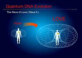 heart  magnetic field table with a diagram vector